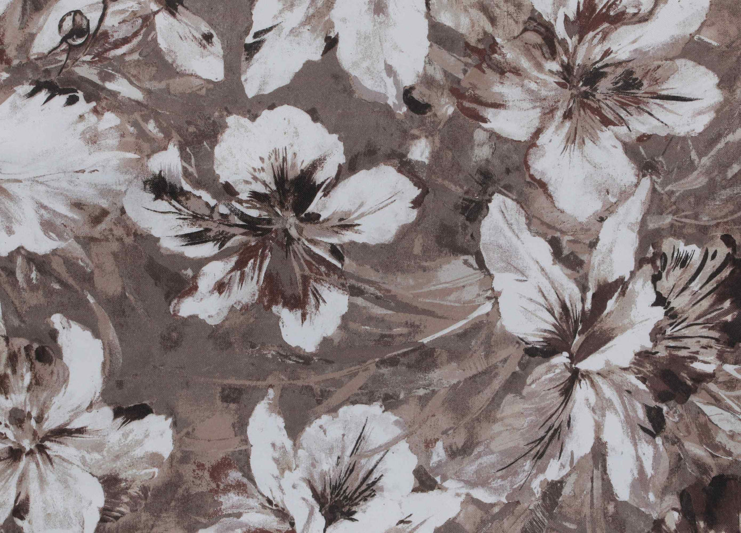 Big Flower Design Curtain - Brown